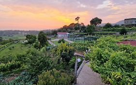 Quinta Dos Fangueiros